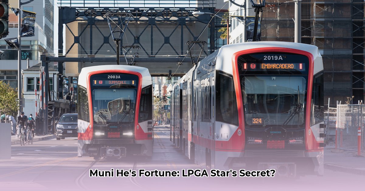 muni-he-net-worth